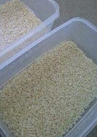 玄米あったら(☆ω－)発芽玄米