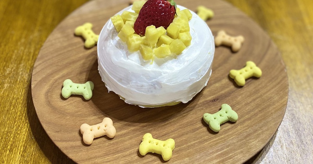 犬用お誕生日ケーキ レシピ 作り方 By Maridayoo クックパッド 簡単おいしいみんなのレシピが360万品