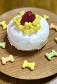 犬用お誕生日ケーキ♡