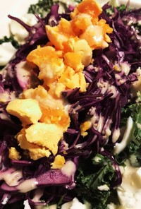 紫キャベツとカールケールのサラダ