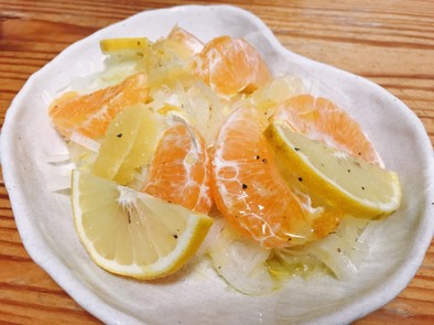 柑橘サラダの写真
