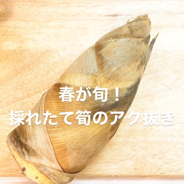 採れたてたけのこのアク抜き方法 レシピ 作り方 By Lou17 クックパッド 簡単おいしいみんなのレシピが360万品 採れたてたけのこのアク抜き方法 レシピ 作り方 By Lou17 クックパッド 簡単おいしいみんなのレシピが360万品