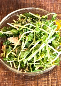【常備菜】節約☆豆苗の塩昆布ツナサラダ
