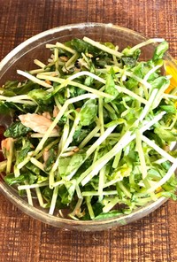【常備菜】節約☆豆苗の塩昆布ツナサラダ