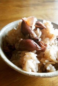 ホタルイカと生姜の炊き込みご飯
