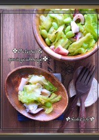 ⁂春キャベツ枝豆とタコのマスタードサラダ