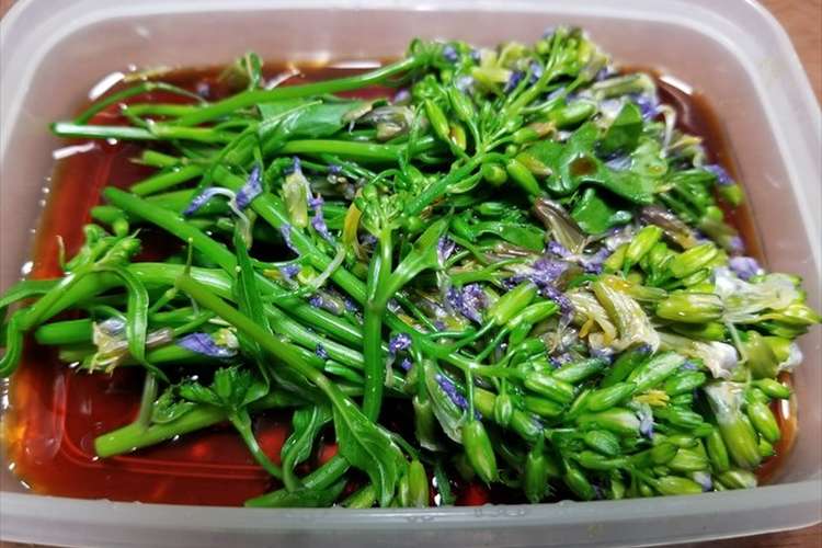 ハマダイコンの花のダシつゆ漬け レシピ 作り方 By 福井のおじじ クックパッド 簡単おいしいみんなのレシピが367万品