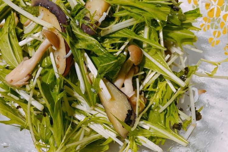 シラスとナスと水菜の和風サラダ レシピ 作り方 By Tokyomii クックパッド 簡単おいしいみんなのレシピが352万品