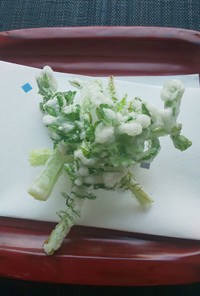 【使いきり】大根の葉の天ぷら