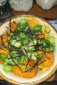ササミフライの丼("⌒∇⌒")