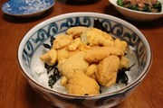 生うに丼の写真