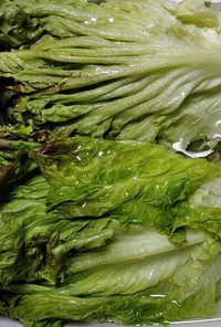 シナシナの葉物野菜の復活法！