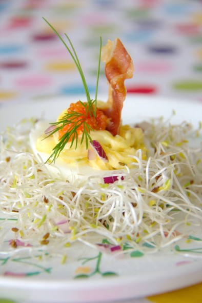 イースターの卵料理・デヴィルエッグの写真