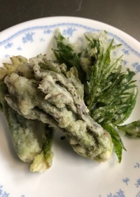 山菜、タラノメとニワトコの天ぷら