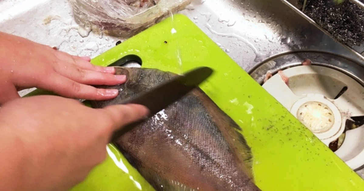 休校だから 魚をさばこう カレイ編 レシピ 作り方 By いちみん クックパッド