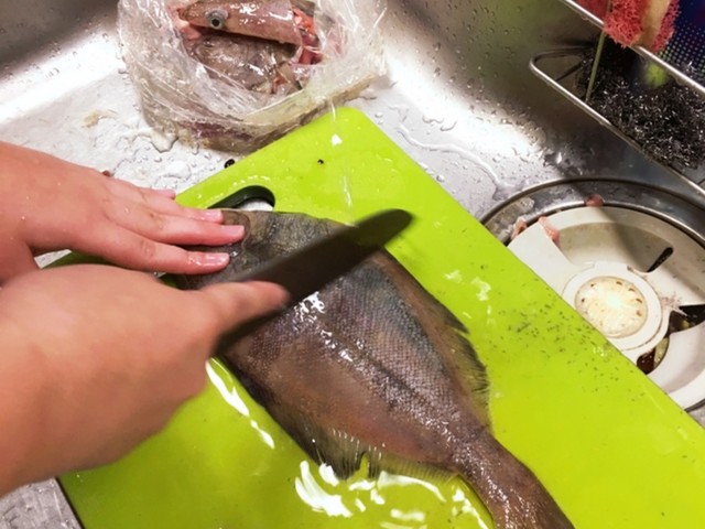 子供と魚をさばこう カレイ編 レシピ 作り方 By いちみん クックパッド 簡単おいしいみんなのレシピが361万品