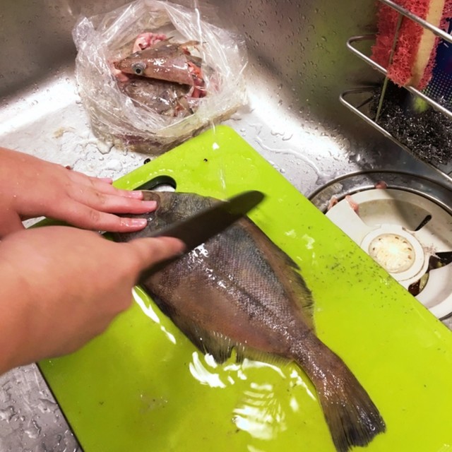 子供と魚をさばこう カレイ編 レシピ 作り方 By いちみん クックパッド 簡単おいしいみんなのレシピが359万品