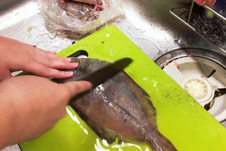 子供と魚をさばこう カレイ編 レシピ 作り方 By いちみん クックパッド 簡単おいしいみんなのレシピが354万品