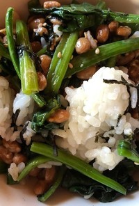 納豆とほうれん草の海苔ゴマご飯