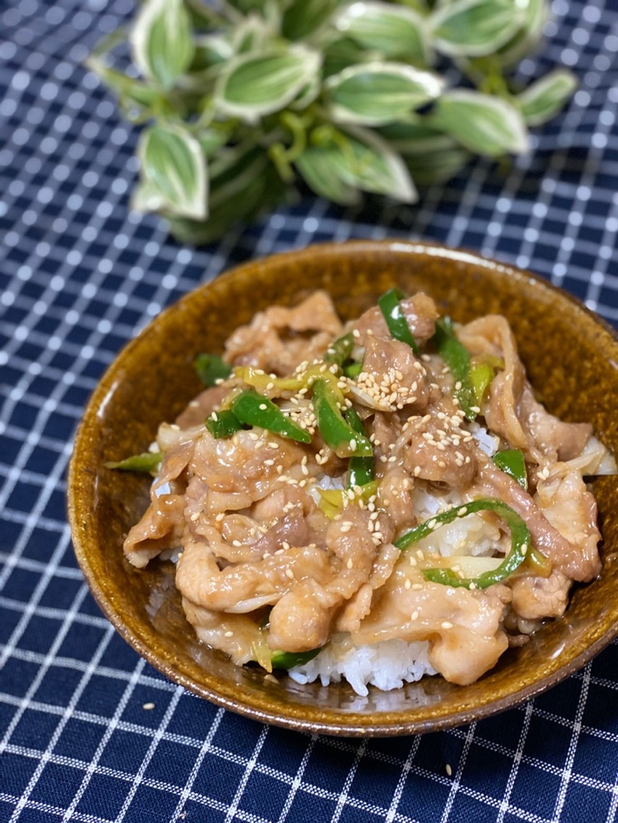 ちゃちゃっとお家で簡単ランチスタミナ丼の画像