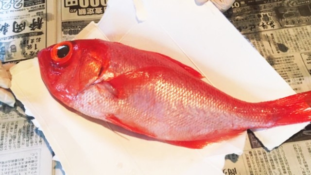 簡単 あるものでウロコとり レシピ 作り方 By ずっこz クックパッド 簡単おいしいみんなのレシピが362万品