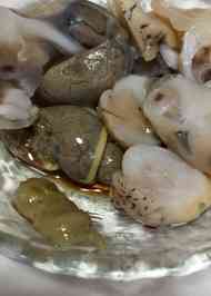みんなの 白ばい貝 レシピが13品 クックパッド