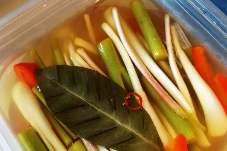 ほったらかしでピリ旨 島野菜のピクルス レシピ 作り方 By 東京愛らんど クックパッド 簡単おいしいみんなのレシピが360万品