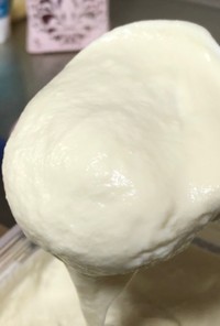 カスピ海ヨーグルトで豆乳おからヨーグルト