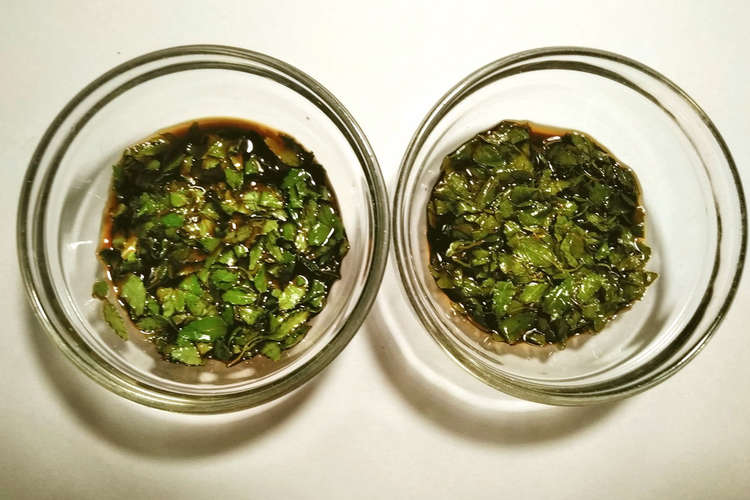 木の芽 山椒の葉 の醤油漬け 2種類 レシピ 作り方 By Guzavie クックパッド