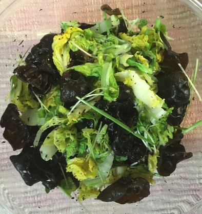 白菜、キクラゲ、カイワレ大根のサラダの写真