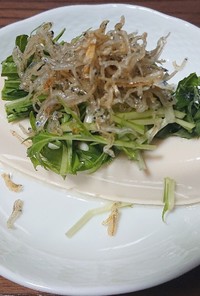 ジャコ水菜豆腐
