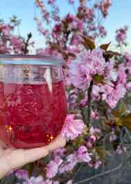 みんなが作ってる 桜のジャムのレシピ クックパッド 簡単おいしいみんなのレシピが357万品