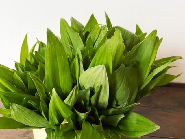 行者ニンニク短期間の保存法 レシピ 作り方 By ポン太花 クックパッド 簡単おいしいみんなのレシピが365万品