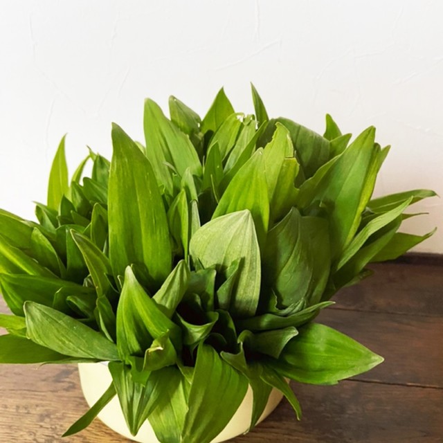 行者ニンニク短期間の保存法 レシピ 作り方 By ポン太花 クックパッド 簡単おいしいみんなのレシピが360万品