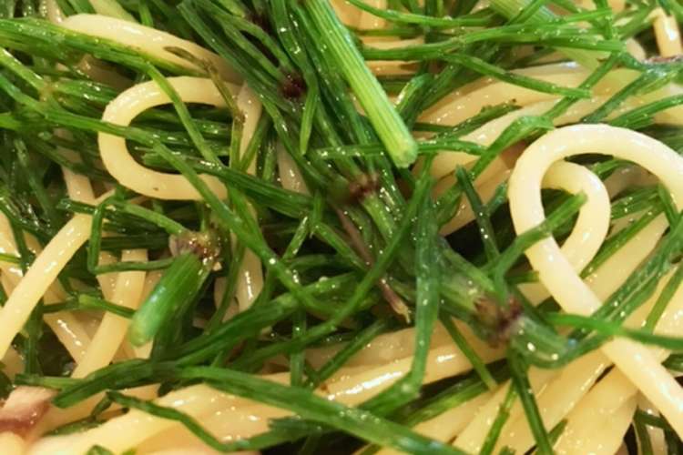 トトロからの贈り物 スギナのパスタ レシピ 作り方 By Qralahきゅらら クックパッド 簡単おいしいみんなのレシピが351万品