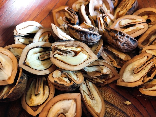 殻付きくるみをフライパンで簡単に レシピ 作り方 By K Hidamari クックパッド 簡単おいしいみんなのレシピが360万品