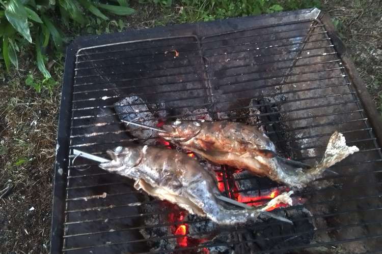 渓流の女王 アマゴの炭火焼き レシピ 作り方 By 北広島町協力隊 クックパッド 簡単おいしいみんなのレシピが359万品