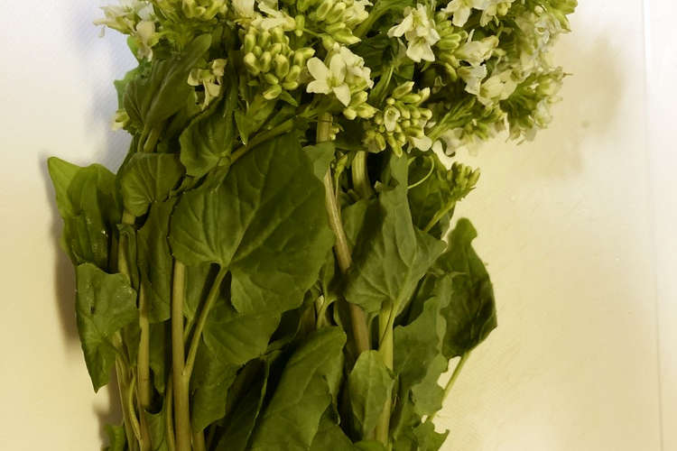 花わさびの醤油漬け レシピ 作り方 By 高郷comachi クックパッド 簡単おいしいみんなのレシピが350万品