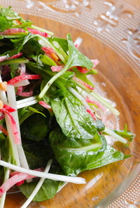 水菜と大根の生胡椒サラダ