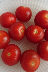 プチトマトの保存法