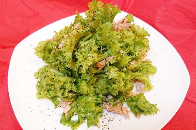 わさび菜とツナの簡単サラダ 昆布だし和え レシピ 作り方 By Mstcooking クックパッド 簡単おいしいみんなのレシピが359万品