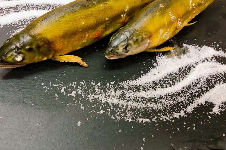 愛知の魚100 鮎の塩焼き レシピ 作り方 By 黒鯛チヌ子 クックパッド 簡単おいしいみんなのレシピが349万品