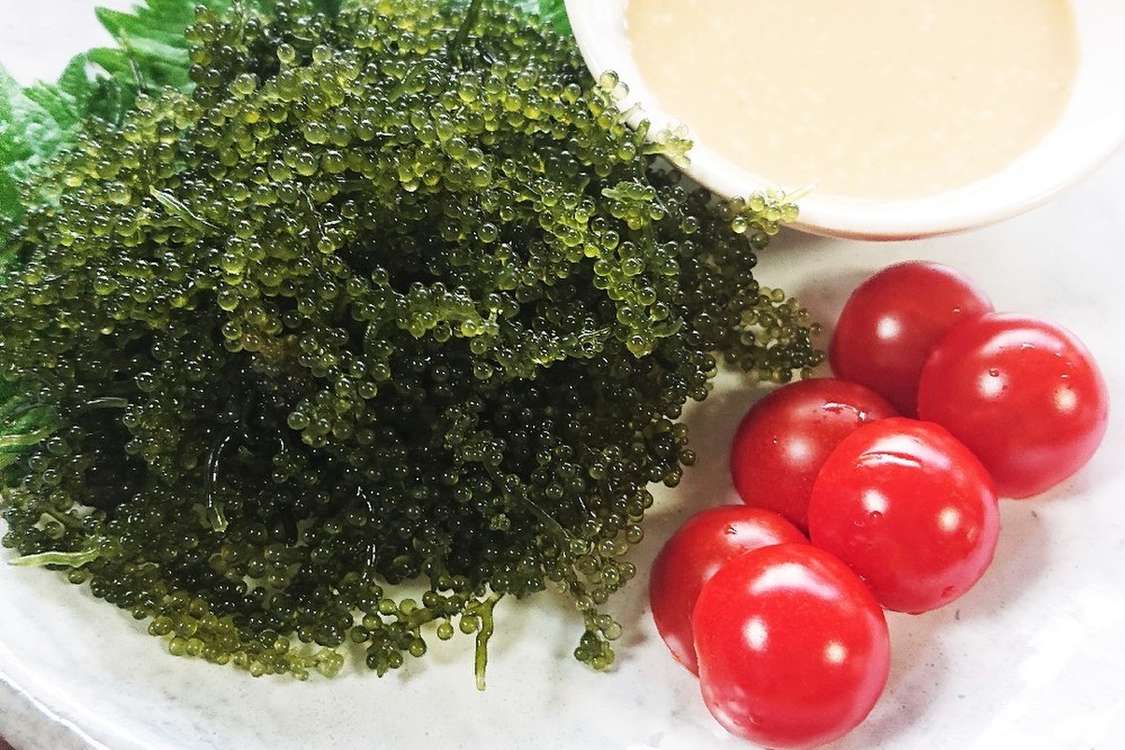 海ぶどうマヨポンジャンたれで レシピ 作り方 By はらぺこるんるん クックパッド 簡単おいしいみんなのレシピが379万品