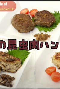 【昆虫食】3種の昆虫肉ハンバーグ