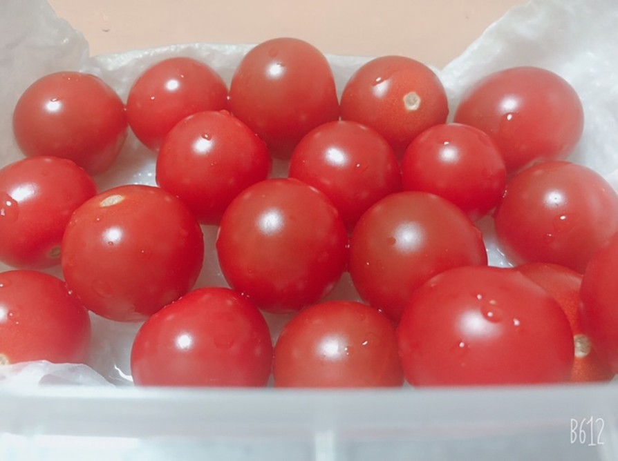 新鮮☆トマト保存方法の画像