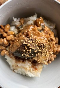 納豆とサバ缶のご飯