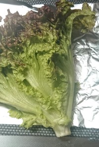 葉物野菜が新鮮長持ちに♡冷蔵室の保存方法
