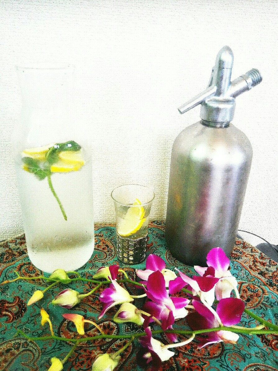 レモンとミントのスパークリングウォーター by パティシエJunko 【クックパッド】 簡単おいしいみんなのレシピが394万品