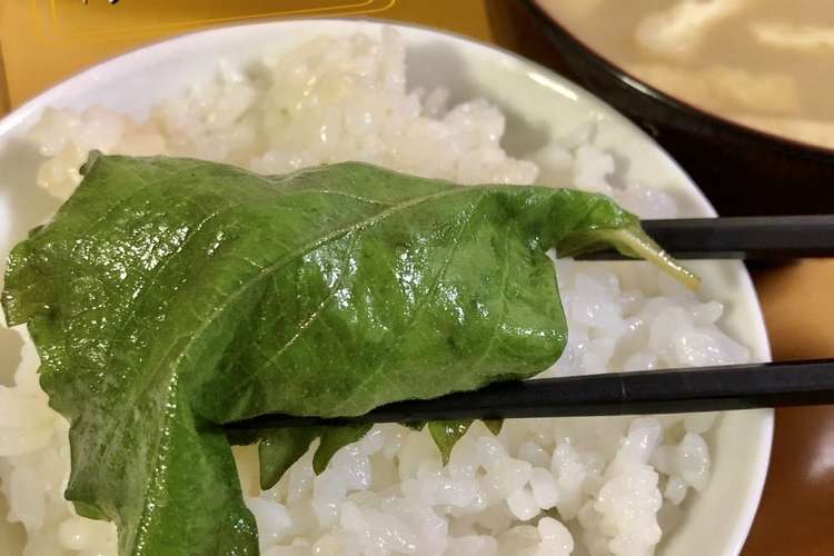簡単 ご飯のお供 大葉漬け 大量消費 レシピ 作り方 By おもち321 クックパッド 簡単おいしいみんなのレシピが362万品