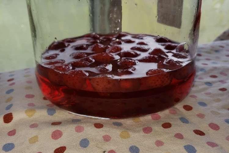 イチゴシロップ レシピ 作り方 By モジャゴン クックパッド 簡単おいしいみんなのレシピが358万品